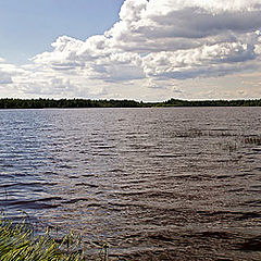 photo "***"