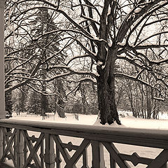 photo "Winter at country estate #2"