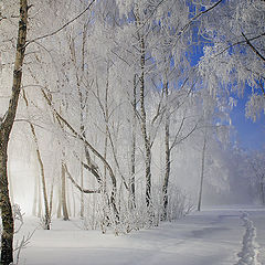 фото "Очарование зимы."