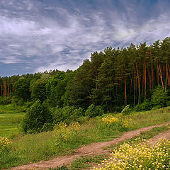 фото "Дорога в лес"