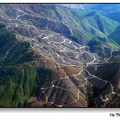 фото "Pathways make the bald hill"