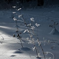 фото "Остаться на свету..."