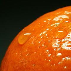 photo "orange"