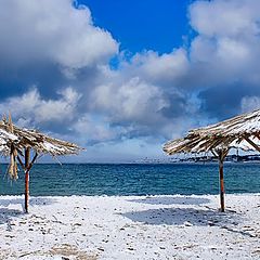 photo "Under a white sun in January"