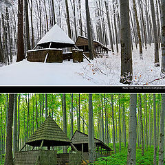 photo "Old wooden hut, seasons"