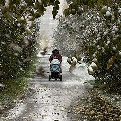 photo "Snow and leaves"