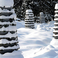 photo "Winter dishes / Зимой кухонной утвари"