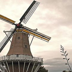 photo "Windmill"