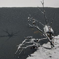 photo "***"