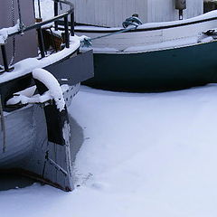 фото "Winter"