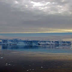 photo "Antarctica"