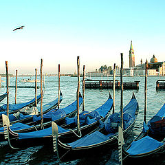 photo "Venetian Decor"