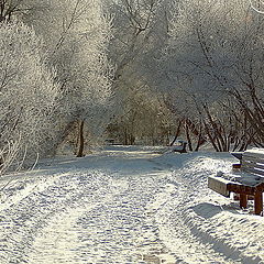 фото "зимний парк"