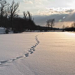 фото "Куда кривая выведет..."