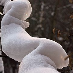 photo "Snow Erotic"