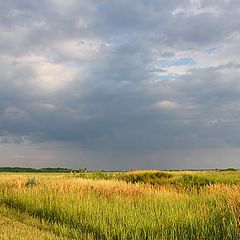 фото "Перед дождём"