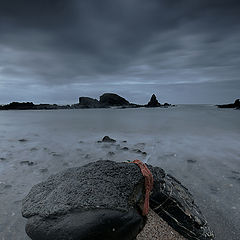 photo "Night on the beach in Alentejo (Portugal)"