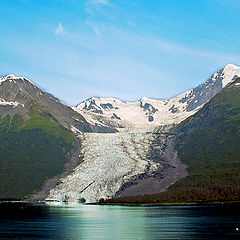 фото "The Glacier"