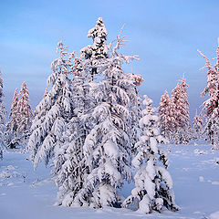 фото "Безмолвие"