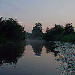 photo "***"