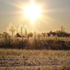 фотоальбом "Winter Frost"