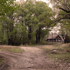 фото "на распутьи"