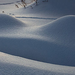 photo "Snow etude"
