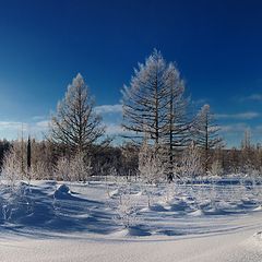 фото "Татьянин день"