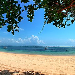 photo "Bali Midday"