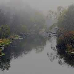 фото "Про осень, речку и туман"