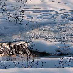 photo "Not ice-bound..."