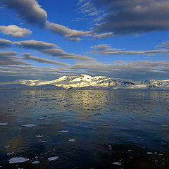 photo "Antarctica"