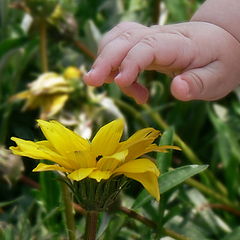 photo "First touch"