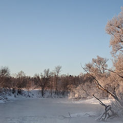photo "***"