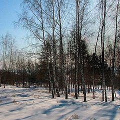 фото "Зимний день..."