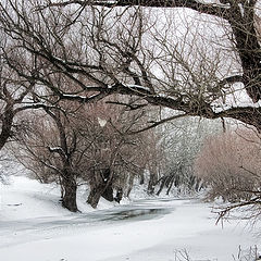 фото "Iceroad"