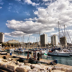 фото "Tel-Aviv 2535"