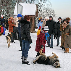 фото "Зимние радости))"