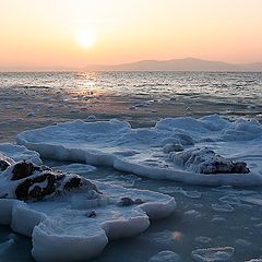 фото "В лучах февральского солнца"