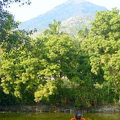 фото "Arunachala Teachings"