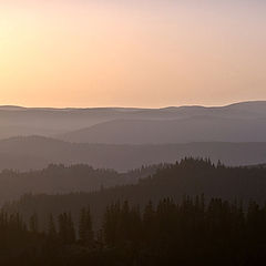 photo "morning light"