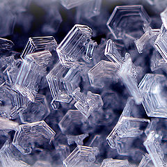 photo "иней зима кристаллы"