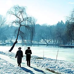 photo "Morning walk / Утренняя прогулка"