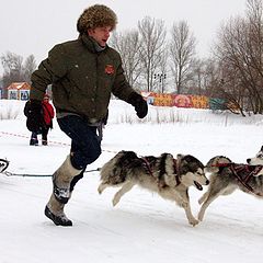 фото "Догоняй!"