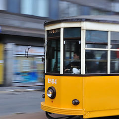 photo "Milano Tramvaj"