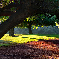 фото "San Diego/Balboa Park"