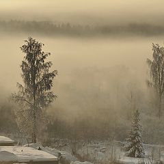 фото "солнечный туман"