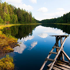 фото "Ламба"