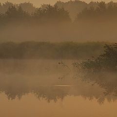 фото "misty morning"