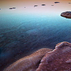 photo "Dead Sea ..."